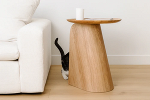Kona Side Table & Hidden Cat Scratcher Kona Side Table & Hidden Cat Scratcher