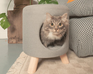 Wallie Foot Stool and Pet Nook for Cats or Small Dogs