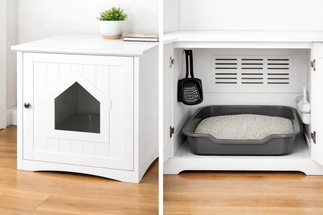 Litter Box Logistics: The Art of the Discrete Bathroom