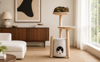 Cat Condo as a Statement Piece -- Choosing One for Your Home