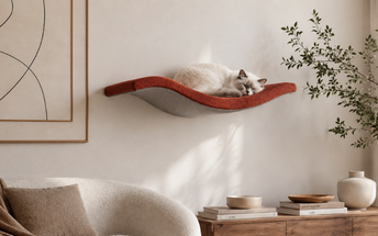 Cat Wall Furniture for Design-Conscious Homes