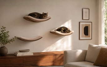 How to Style Cat Wall Shelves Like an Interior Designer