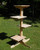 Outdoor (or Indoor) Cedar Cat Tree