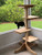 Outdoor (or Indoor) Cedar Cat Tree