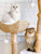 Centralia Luxury Wood & Woven Cat Tree for Large Cats