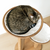 Gravity Oak Cat Tower & Scratcher Gravity Oak Cat Tower & Scratcher