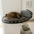 Cat Corner Shelf Set — two wall-mounted solid pine cat shelves for corner or separate installation