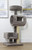 Cat's Choice 49" Cat Tower with Tube, Rectangle and Round Lounges