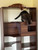 Clifford Multifunction Cat Tree and Bookshelf