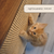 Wesley Multifunction Wall Shelf Cat Scratcher