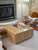 Coco Multifunctional Coffee Table with Cat Condo and Storage