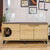 Tucker Multifunction Shoe Storage Cabinet and Cat Condo Lounge