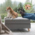 Otto Multi-Use Ottoman for People, Cats and Dogs