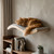 Cat Wall Bed — large curved birch wave lounger with cushion, wall-mounted cat furniture