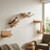 4-piece cat wall shelves set with hammock, platform, and climbing steps - CatsPlay.com