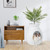 Smart Plant cat litter box with electronic odor removal - CatsPlay.com