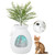 Smart Plant electronic cat litter box - view 4