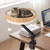 Cat Desk Bed with Removable Padded Cushion