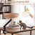 Cat Desk Bed with Removable Padded Cushion