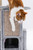 Little Rocko 37 inch cat tree with enclosed condo