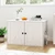 Hidden litter box enclosure with privacy divider - CatsPlay.com