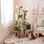 63 inch cactus-shaped multi-level cat gym - CatsPlay.com