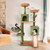 63" Cactus-Shaped Multi-Level Cat Gym - view 2