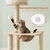 Solid Wood Cat Tree with Space Capsule and Scratching Board - view 7