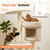 Solid Rubber Wood Cat Tree with Hammock and 2 Cat Beds - view 8