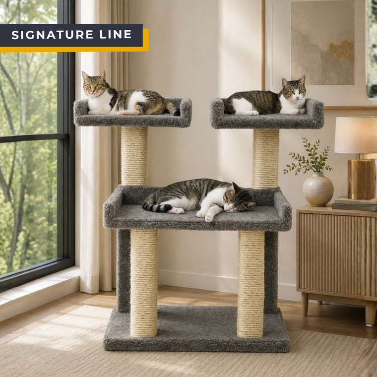 Cat's Choice 38" Deluxe Maine Coon Cat Perch Tree for Big Cats