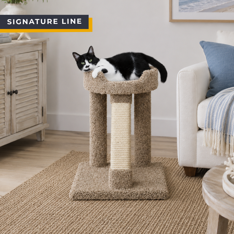 Raised Sleeper Cat Tub Perch