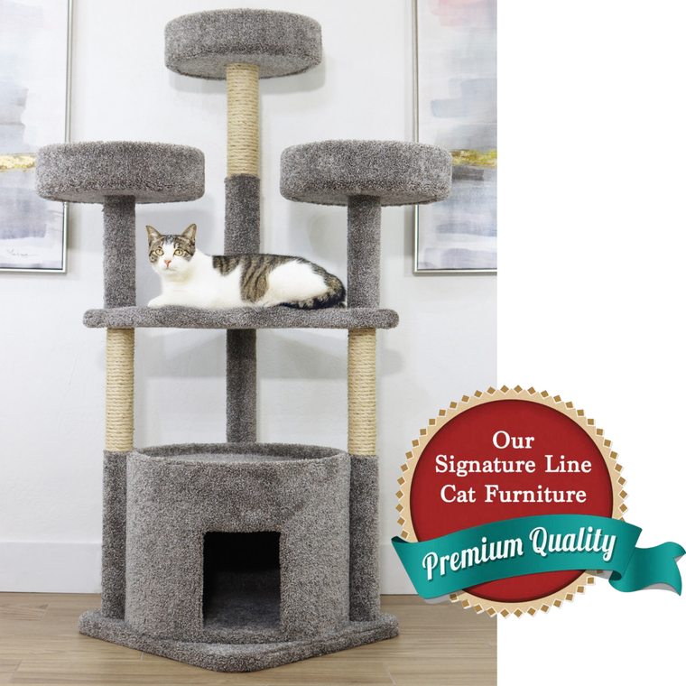 Choice 61" Cat Gym for Large Cats like Maine Coons