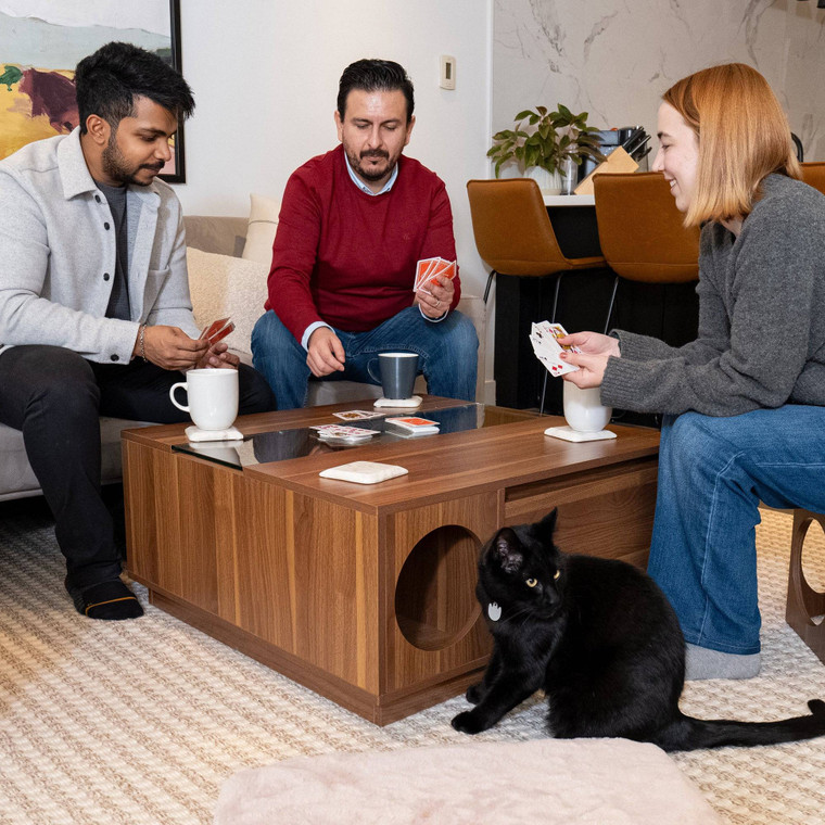 Coco Multifunctional Coffee Table with Cat Condo and Storage