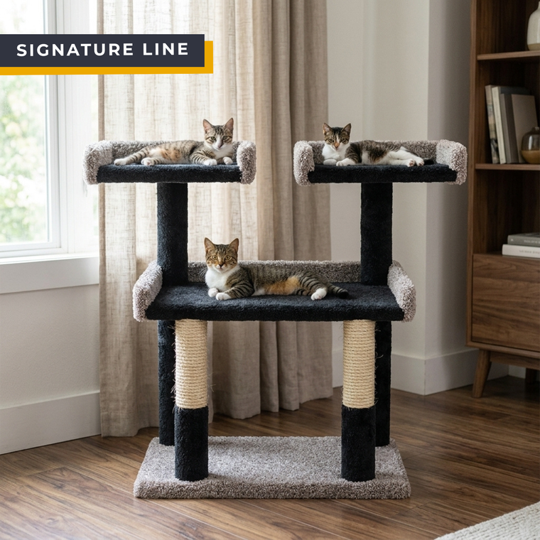 Cat's Choice 55"Cat's Choice 38" Multi Cat Tower with Mega Size Base — solid wood multi-level cat tree for large cats and multi-cat households Cat Tower Castle Gym for BIG Cats