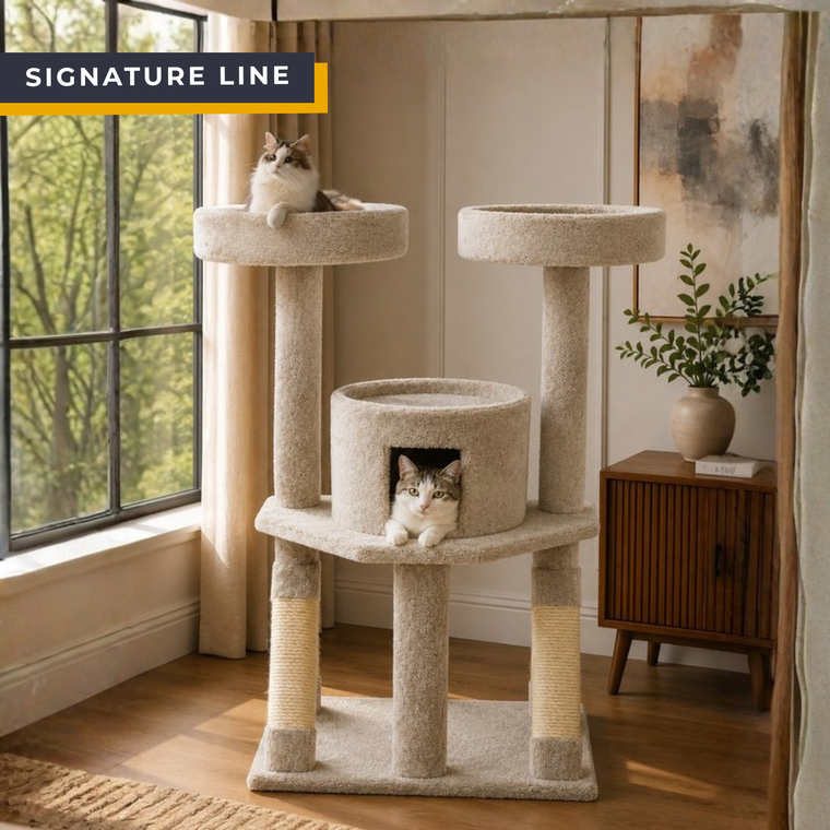 Cat's Choice 53" Double Perch Cat Tree with central enclosed condo — heavy-duty cat tree for large cats and multi-cat households