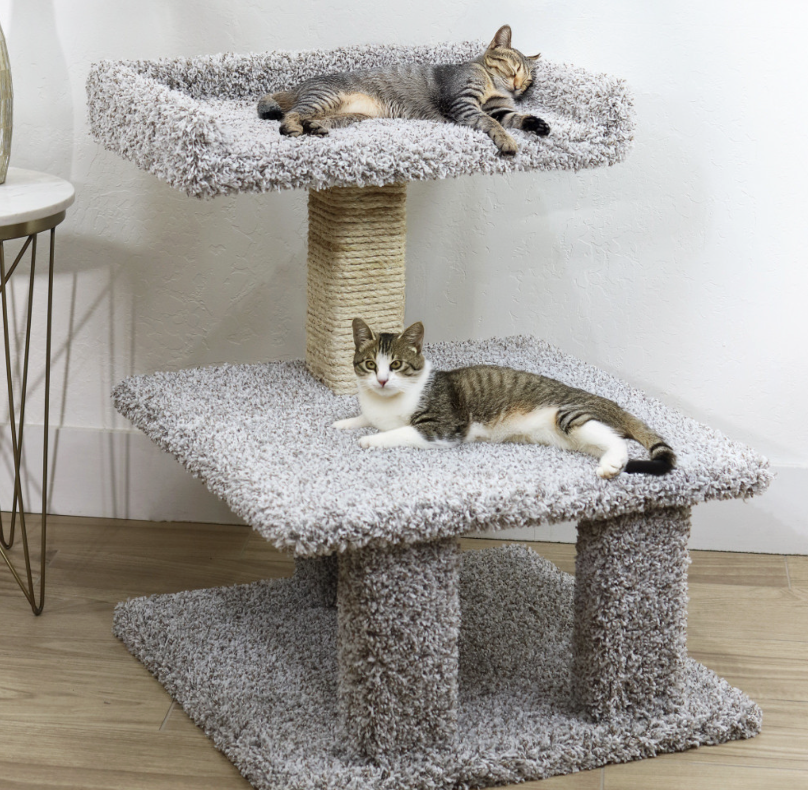 Cat relaxing on a custom cat tree