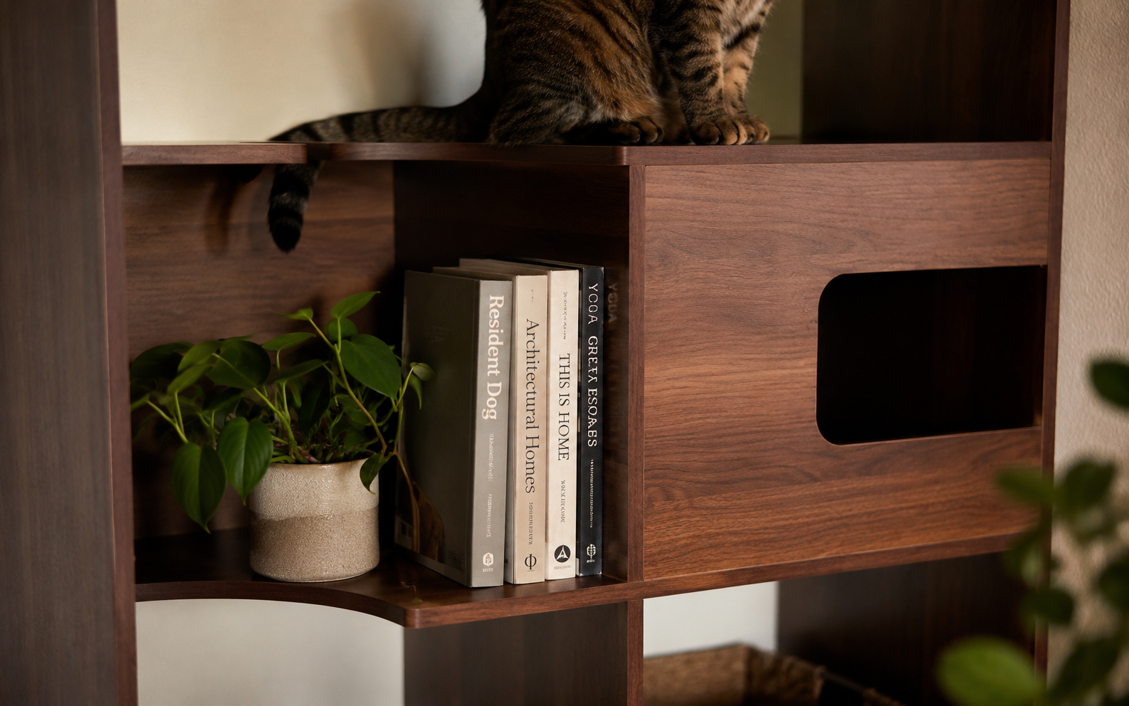 Loaded shelf on a cat tree bookshelf showing real storage capacity