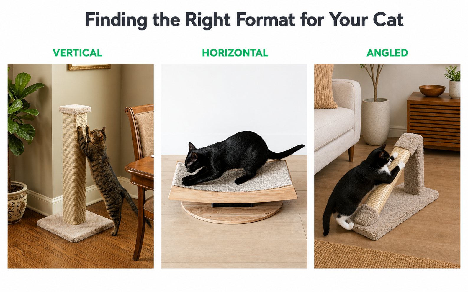 Three-panel comparison of scratcher formats: vertical post, horizontal pad, and angled board -- each designed for a different scratching posture