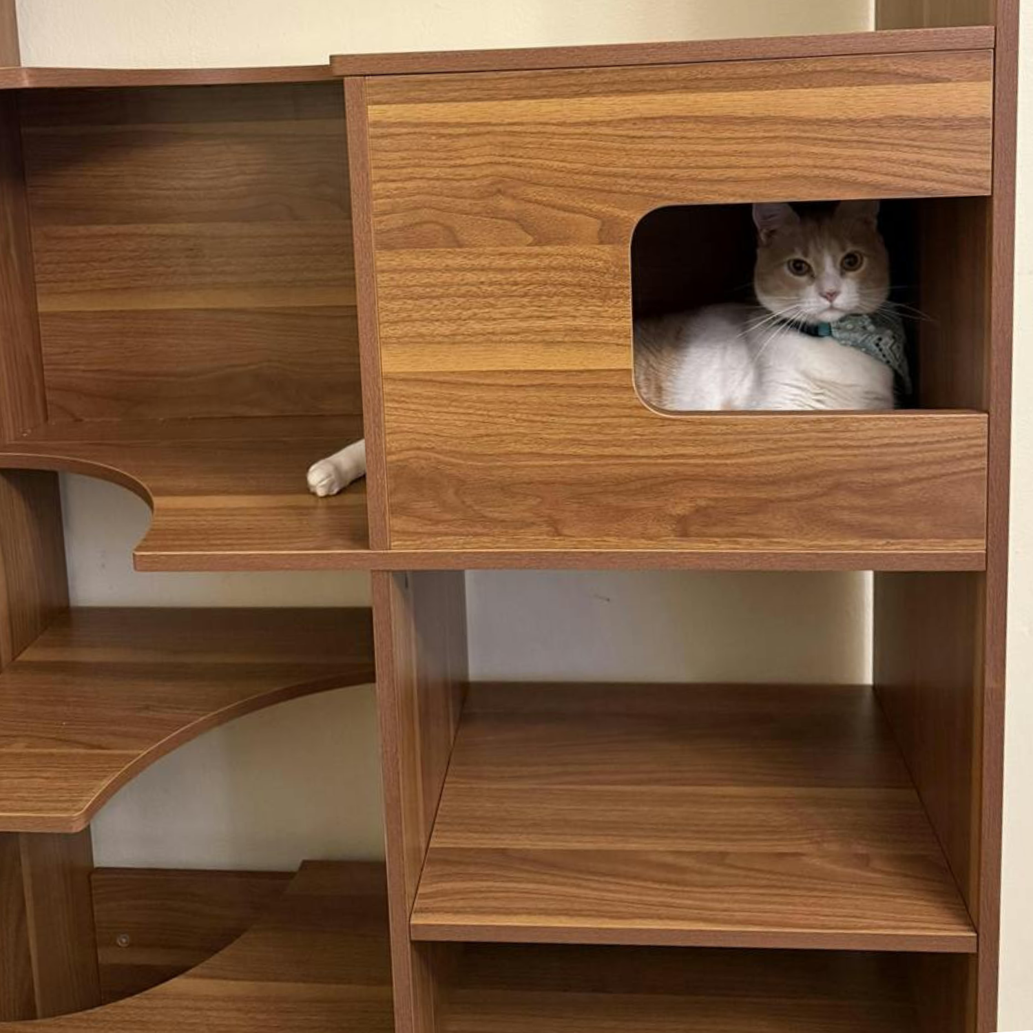 Structural bracket detail on a cat tree bookshelf