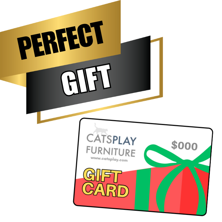 CatsPlay Gift Cards
