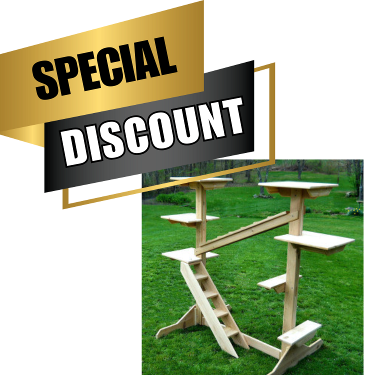 Outdoor Cedar Cat Furniture Sale