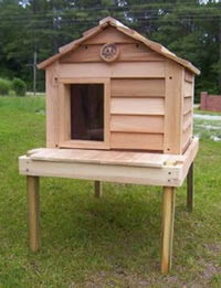 20 Inch Cedar Cat House with Platform