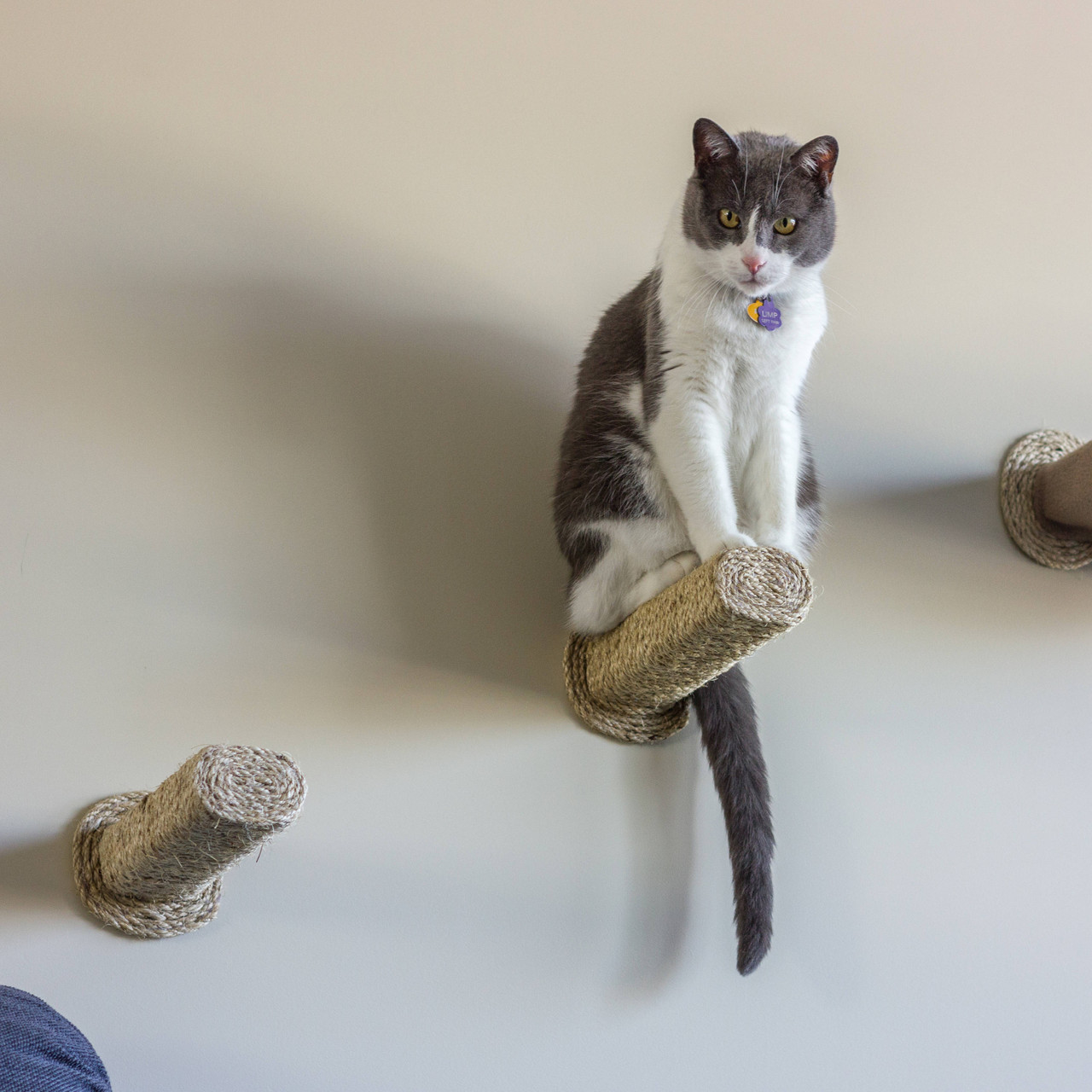 Sisal Step / Cat Scratching Post (wall mounted) 2 Steps