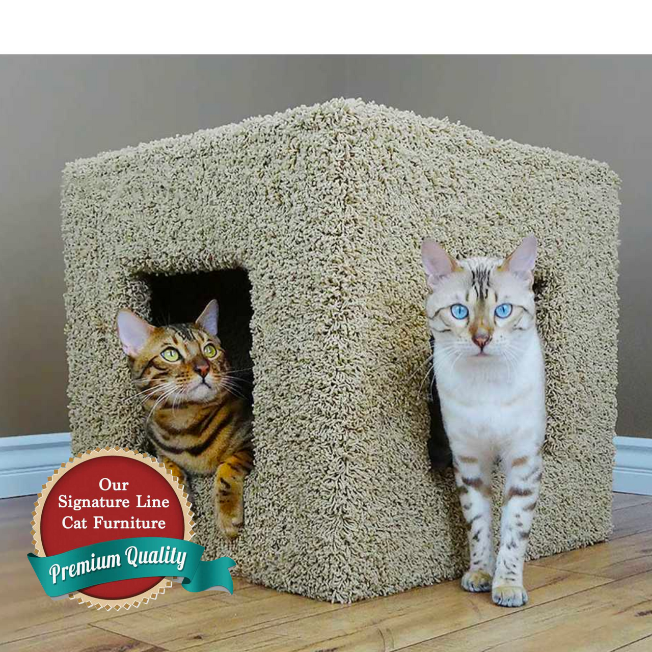 Cat's Choice Cube Shaped Cat Condo Brown