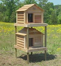 20 Inch Cedar Cat Townhouse