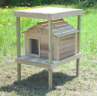 20 Inch Cedar Cat House with Platform, Loft