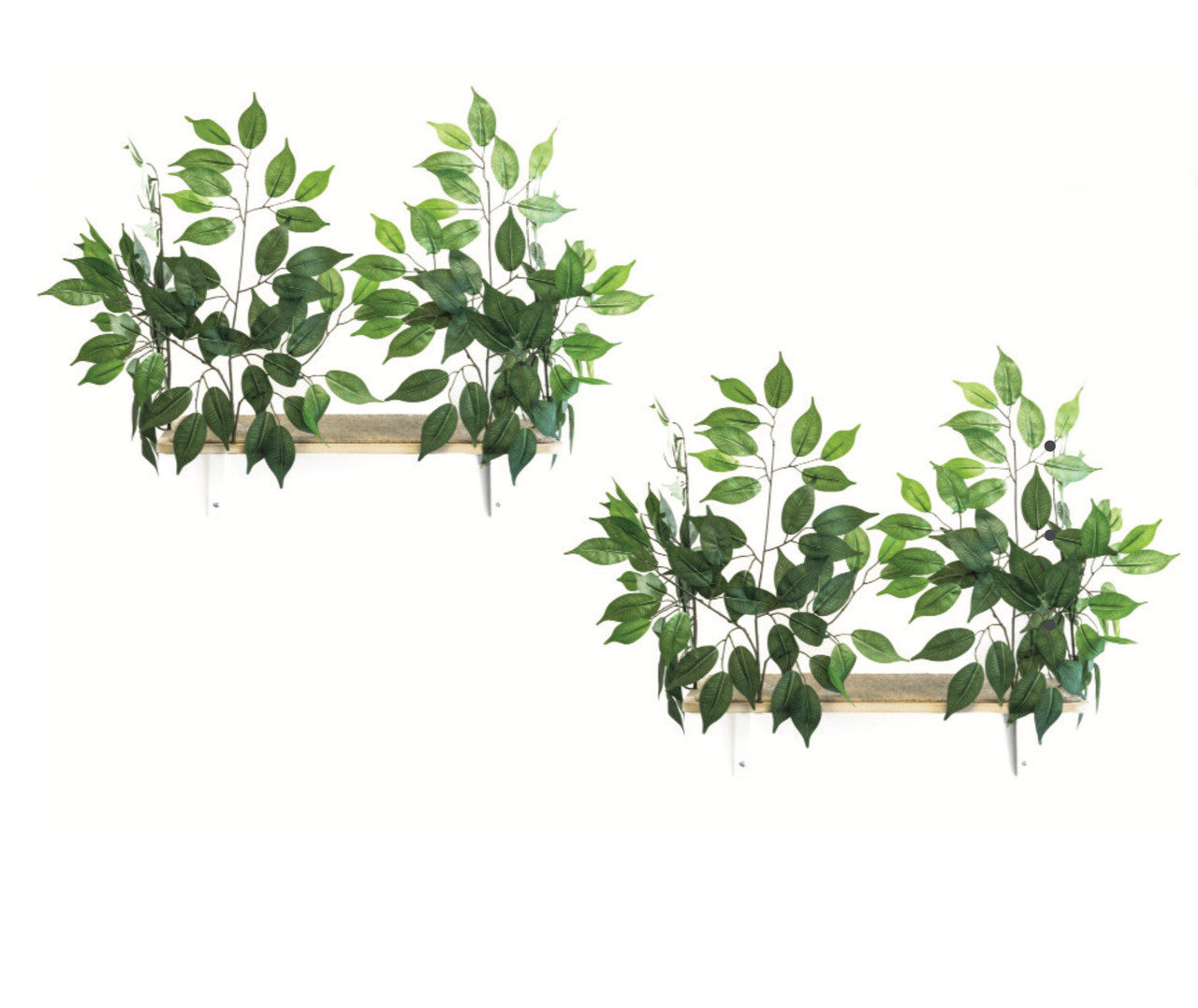 Canopy Rectangle Cat Wall Shelves with Leaves - Set of (2) CN003
