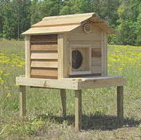 17 Inch Cedar Cat House with Platform