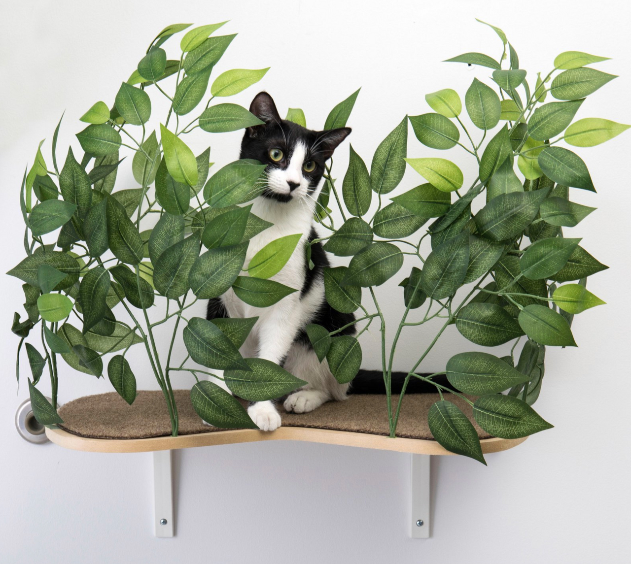 Canopy Curved Cat Wall Shelves with Leaves - Set of (2) CN001