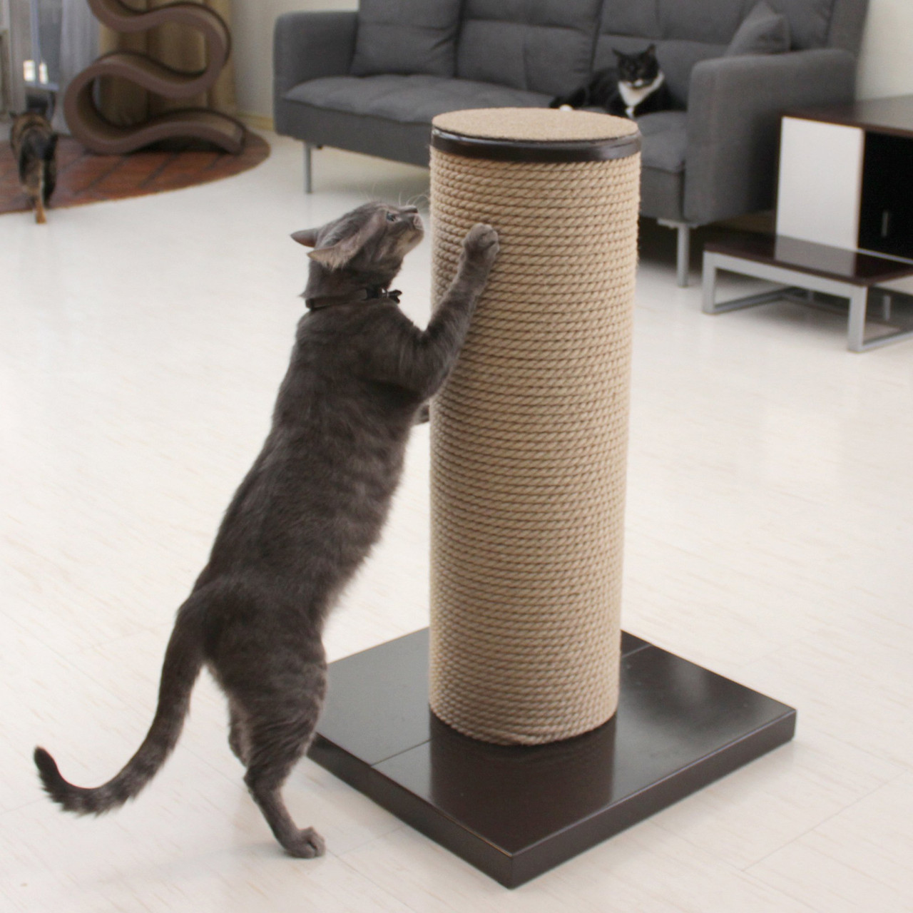 MaxScratch Oversized Cat Scratching Post and Perch Black - 55114